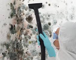 Best Mold Prevention Services in Parkersburg, WV